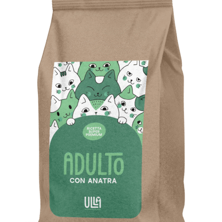 Adulto con anatra