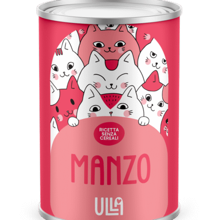 Manzo 400g