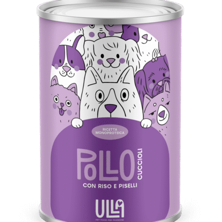 Cucciolo pollo con riso e piselli 400g