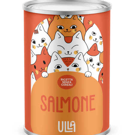 Salmone 400g