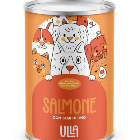 Salmone con semi di lino 400g