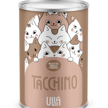 Tacchino 400g