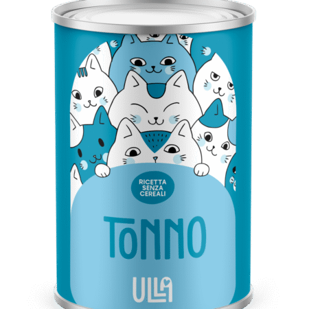 Tonno 400g